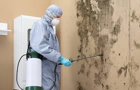 Reliable Midland, NC Mold Remediation Solutions